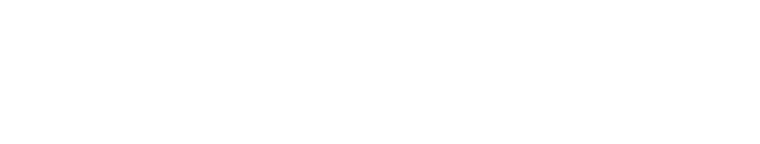 Lapmaster Wolters